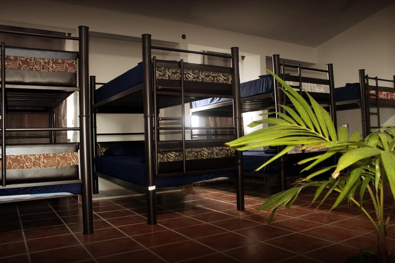 Venado Hostel Cancún Esterno foto
