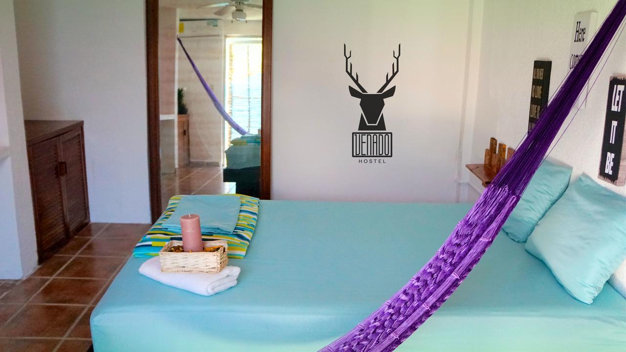 Venado Hostel Cancún Esterno foto
