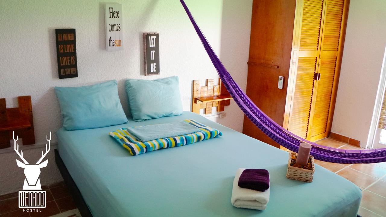 Venado Hostel Cancún Esterno foto