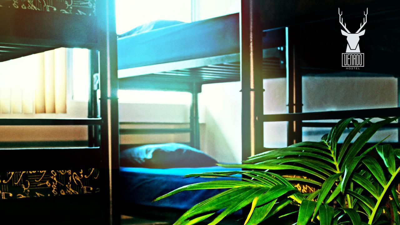 Venado Hostel Cancún Esterno foto