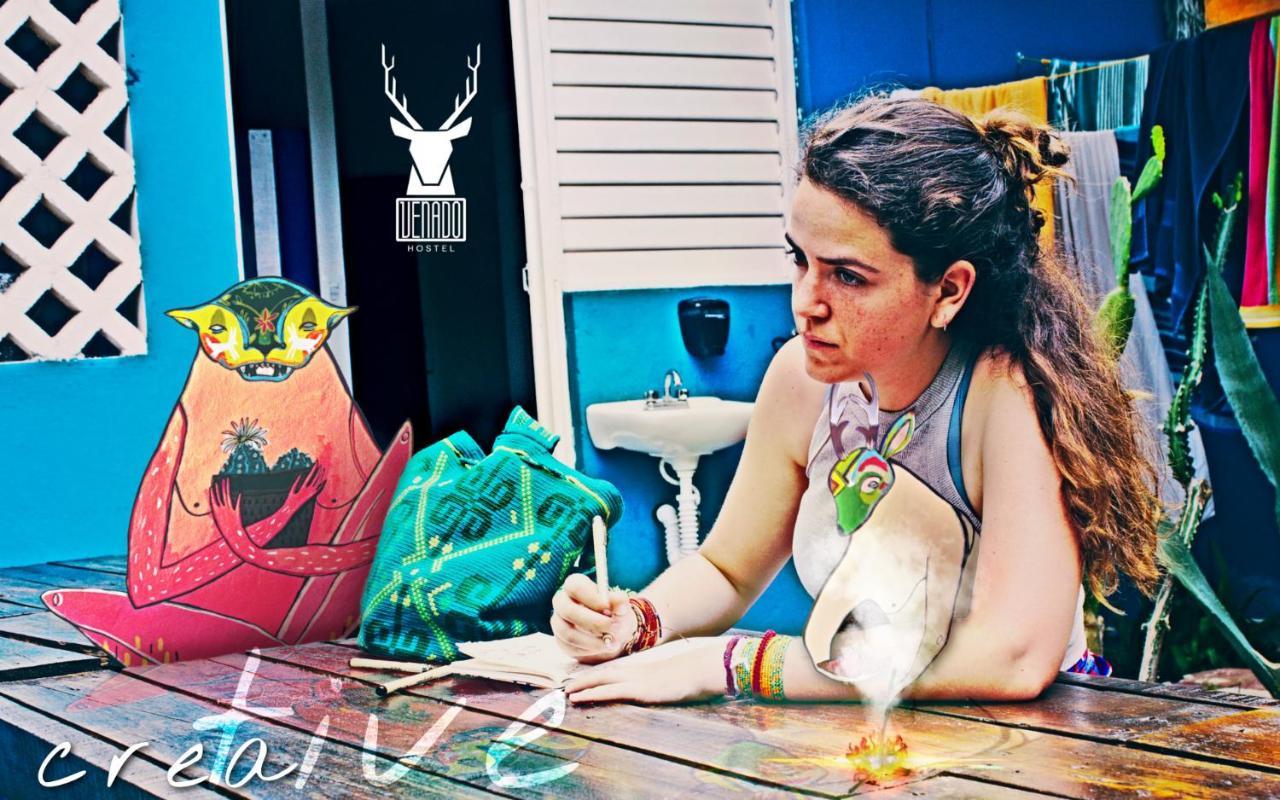 Venado Hostel Cancún Esterno foto