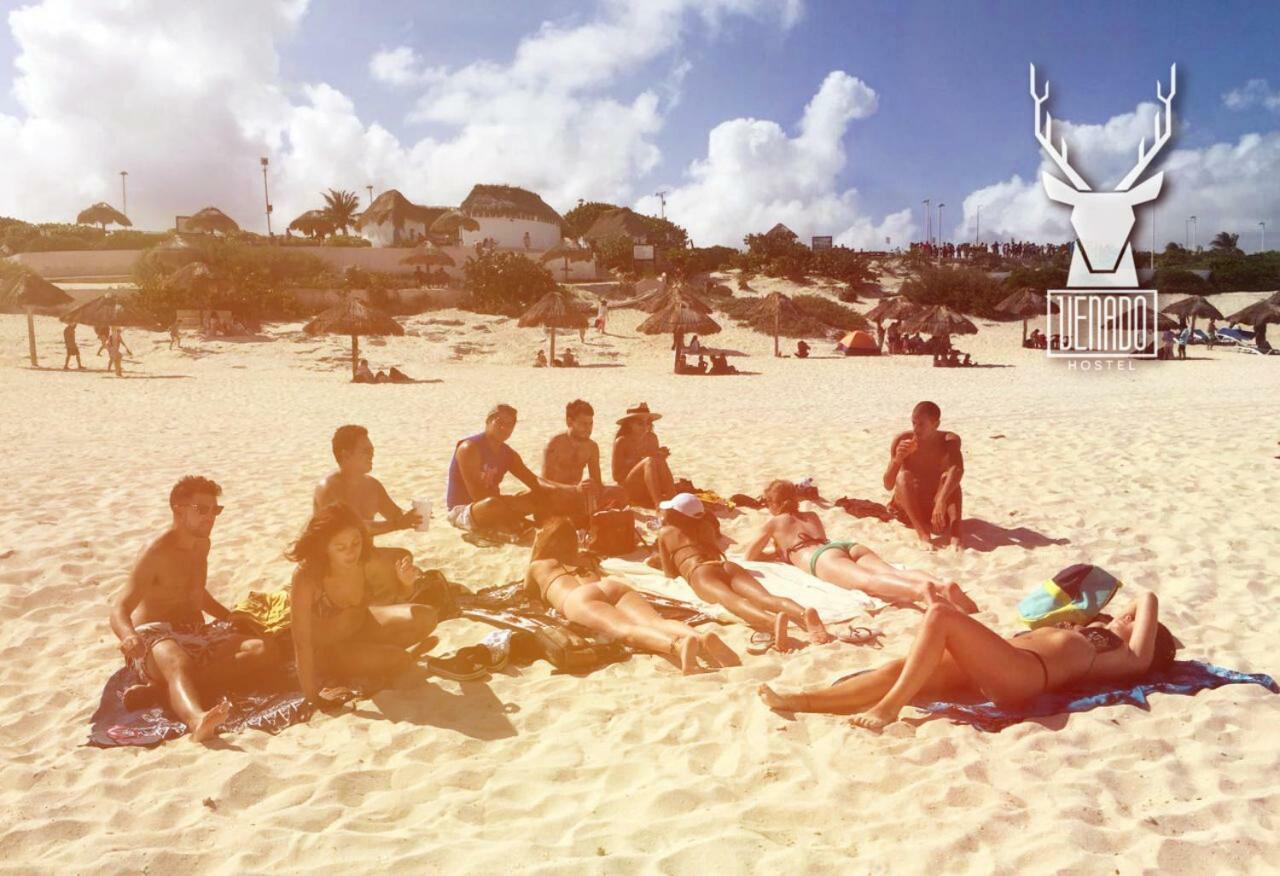 Venado Hostel Cancún Esterno foto
